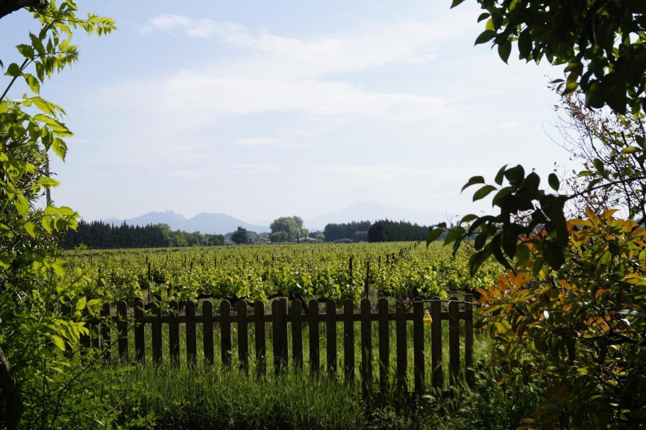 Mas Du Clos De L'Escarrat Jonquieres  Exterior photo
